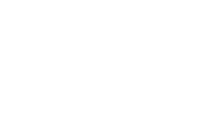 WhiteLionBet logo